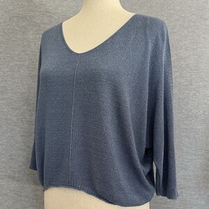 Free For Humanity Lagenlook Boxy Sweater One Size Metallic Blue Batwing Pullover